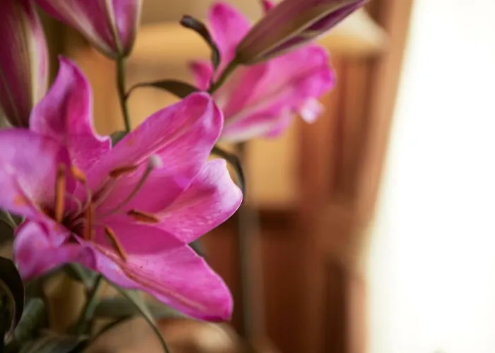 Ashburton House - 4* Scarborough