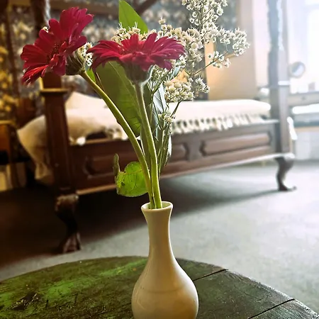 Gasthuis Ashburton House -