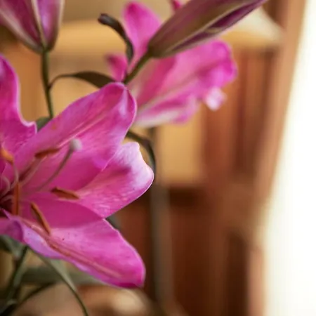 Ashburton House - 4* Scarborough